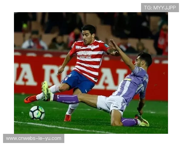 原口健飞首回合TKO取胜 连胜势头持续强劲